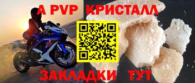 дмт Донской