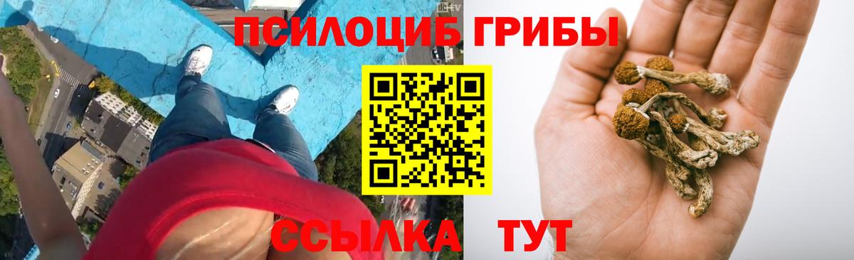 Галлюциногенные грибы Magic Shrooms  Вход с VPN  Малгобек 