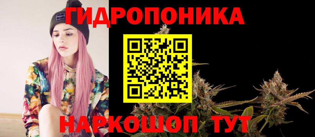 Каннабис семена  Вход с VPN  Канабис VHQ  Малгобек 